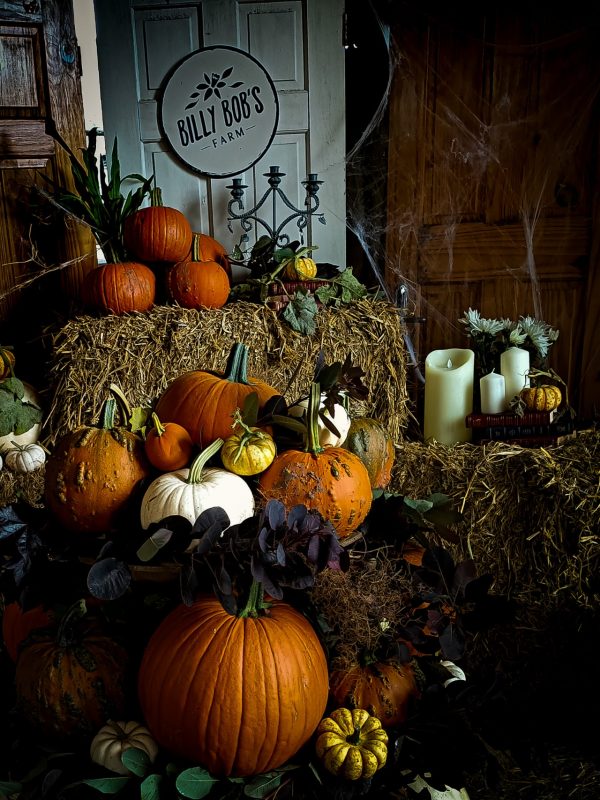 Billy Bob's Farm