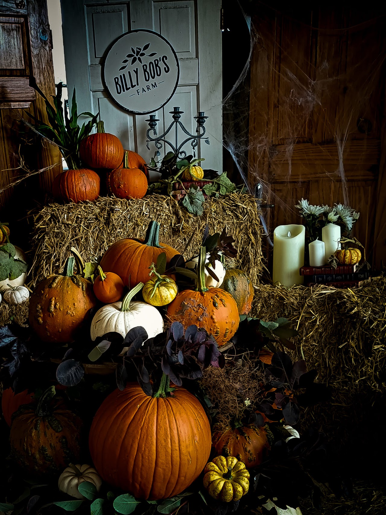 Billy Bob's Farm