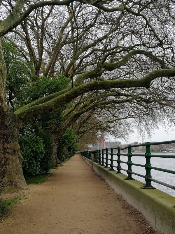 Bishops Park