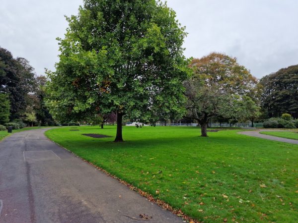 Bitts Park