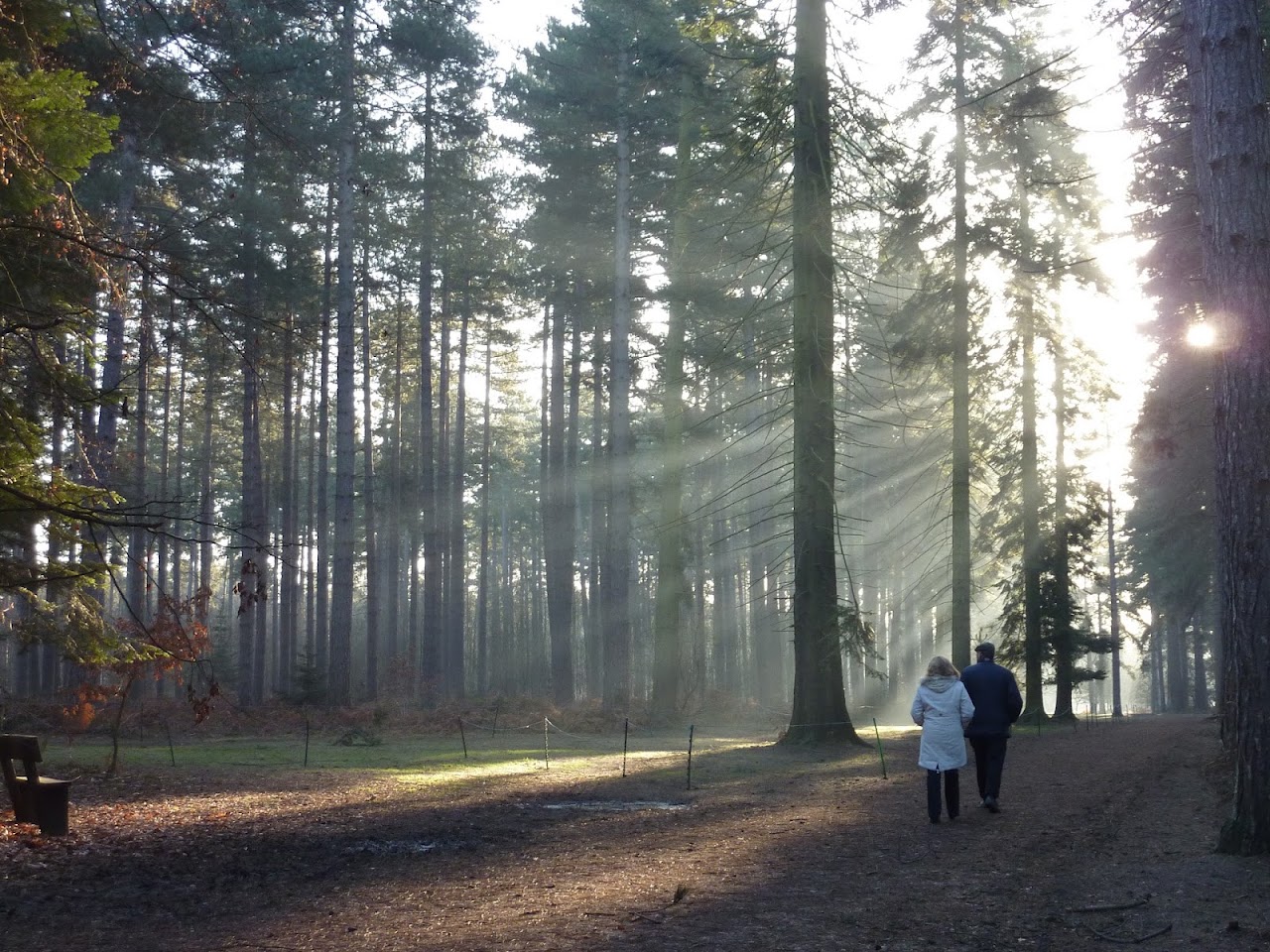 Black Park