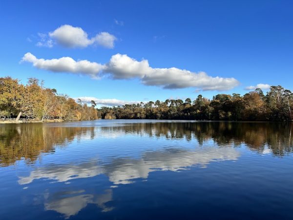 Black Park