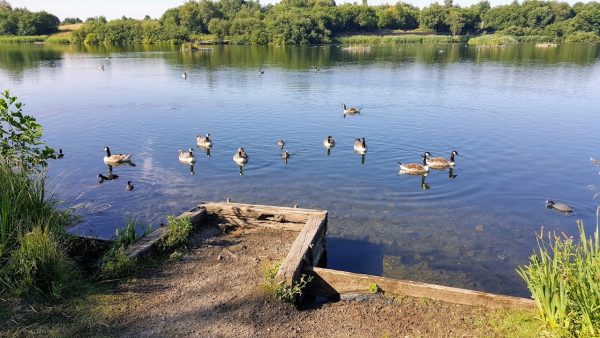 Blackleach Country Park