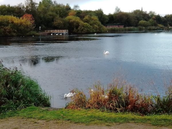 Blackleach Country Park