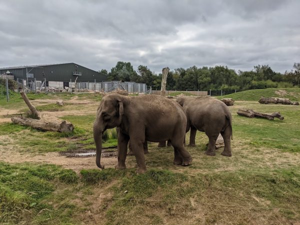 Blackpool Zoo