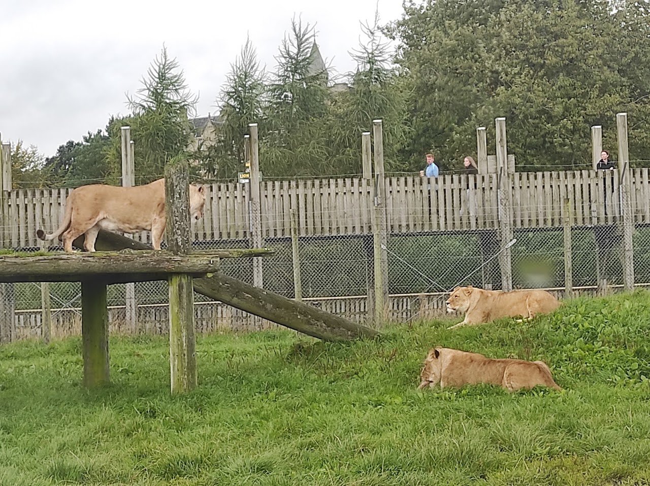 Blair Drummond Safari and Adventure Park