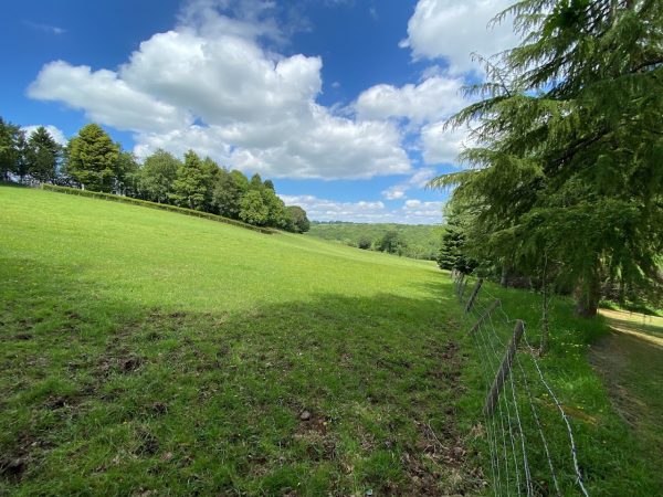 Bodenham Arboretum