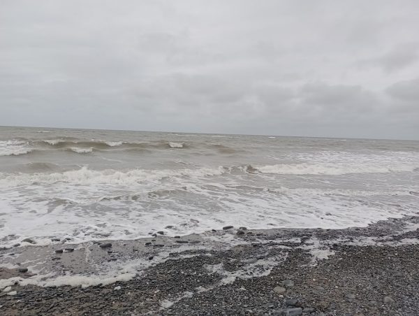 Borth Beach
