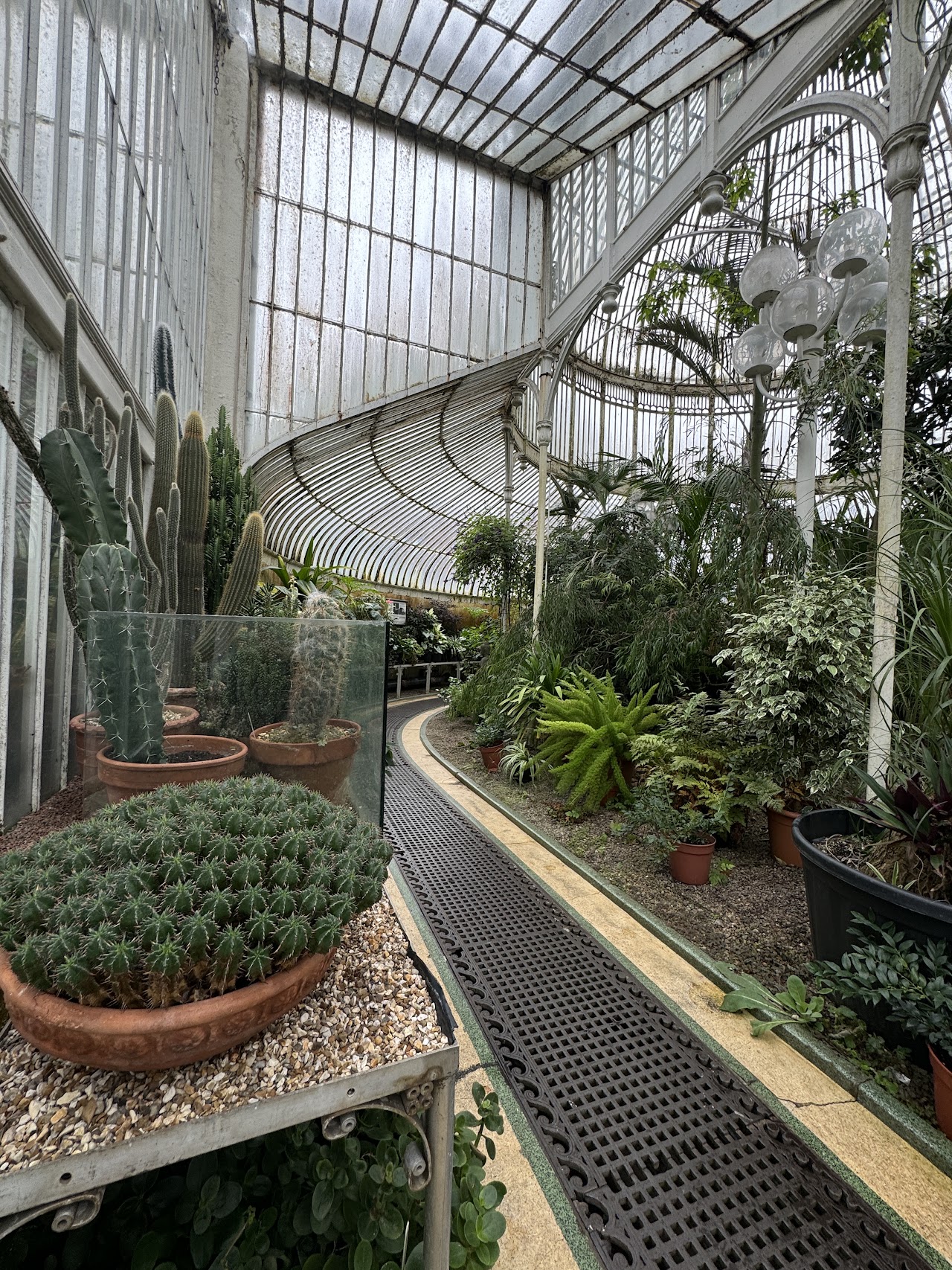 Botanic Gardens and Palm House