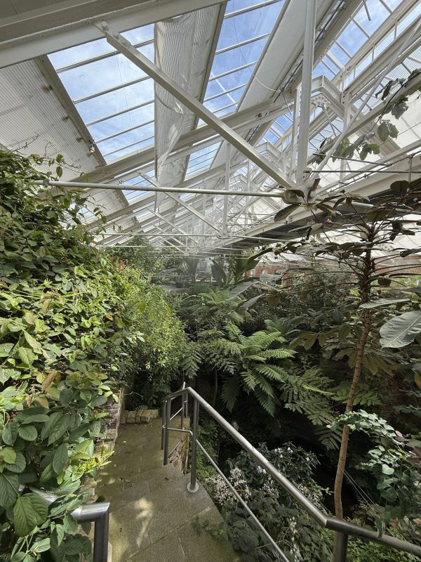 Botanic Gardens and Palm House