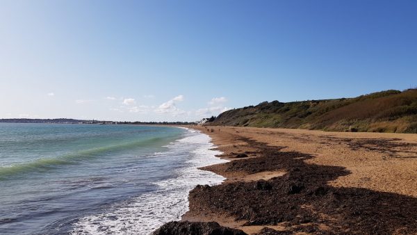 Bowleaze Cove