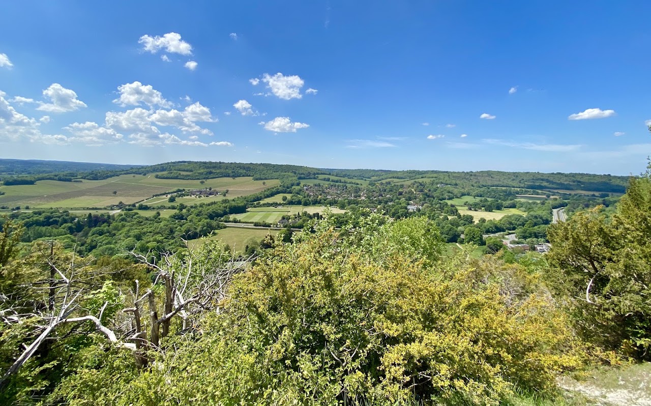 Box Hill