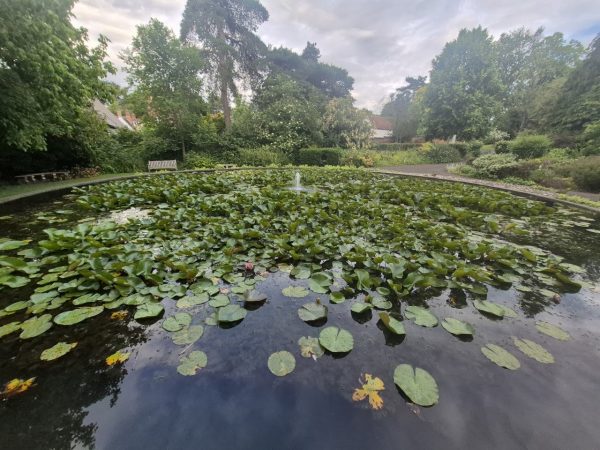 Braintree and Bocking Public Gardens