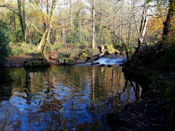 Bramhall Park