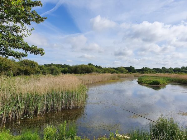Brandon Marsh Nature Centre