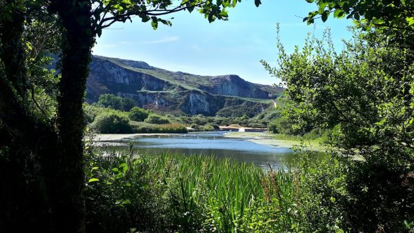 Breakwater Country Park