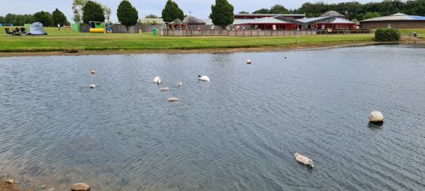 Brechin Castle Centre