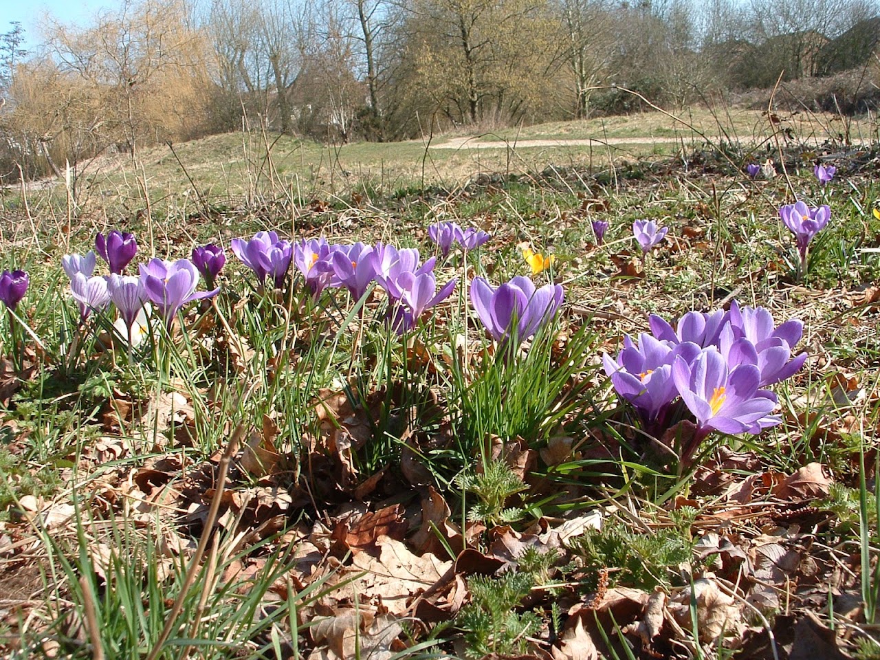 Brickfields Country Park