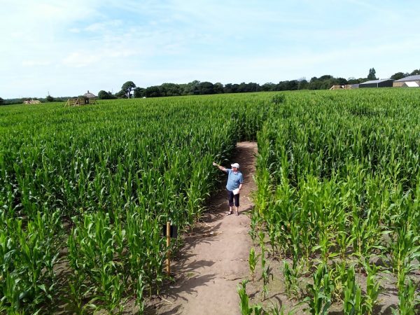 Brimstage Maze