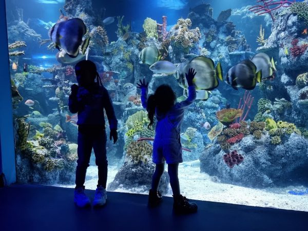 Bristol Aquarium