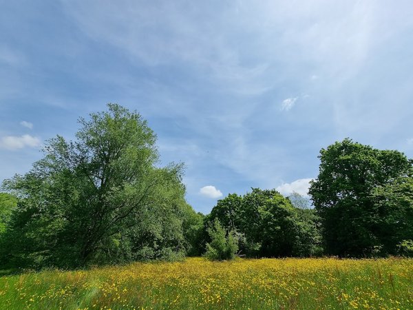Broad Oak Park