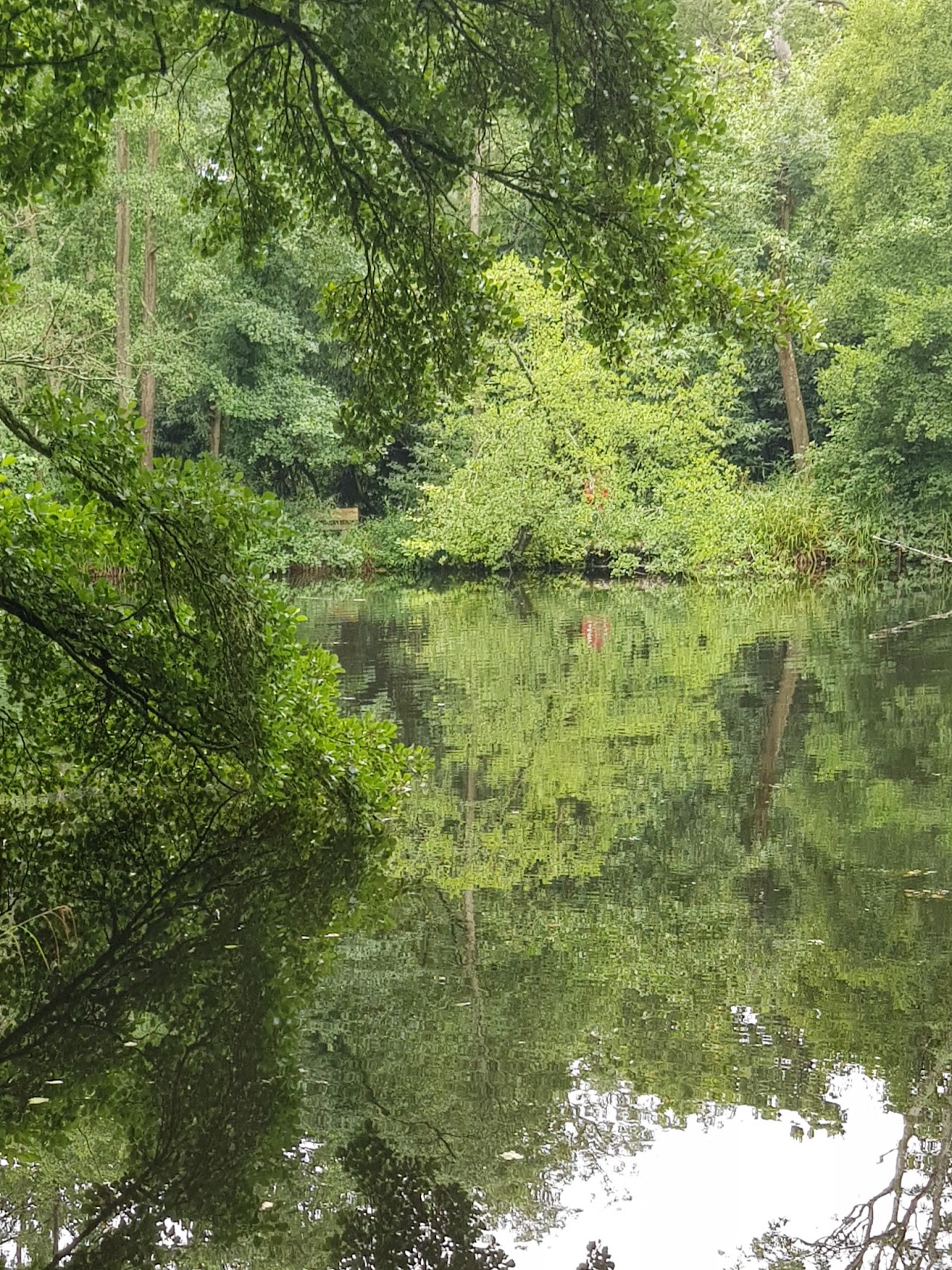 Brockhill Country Park