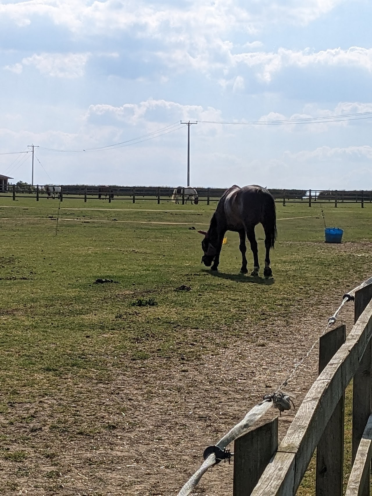 Brook Stables Riding School