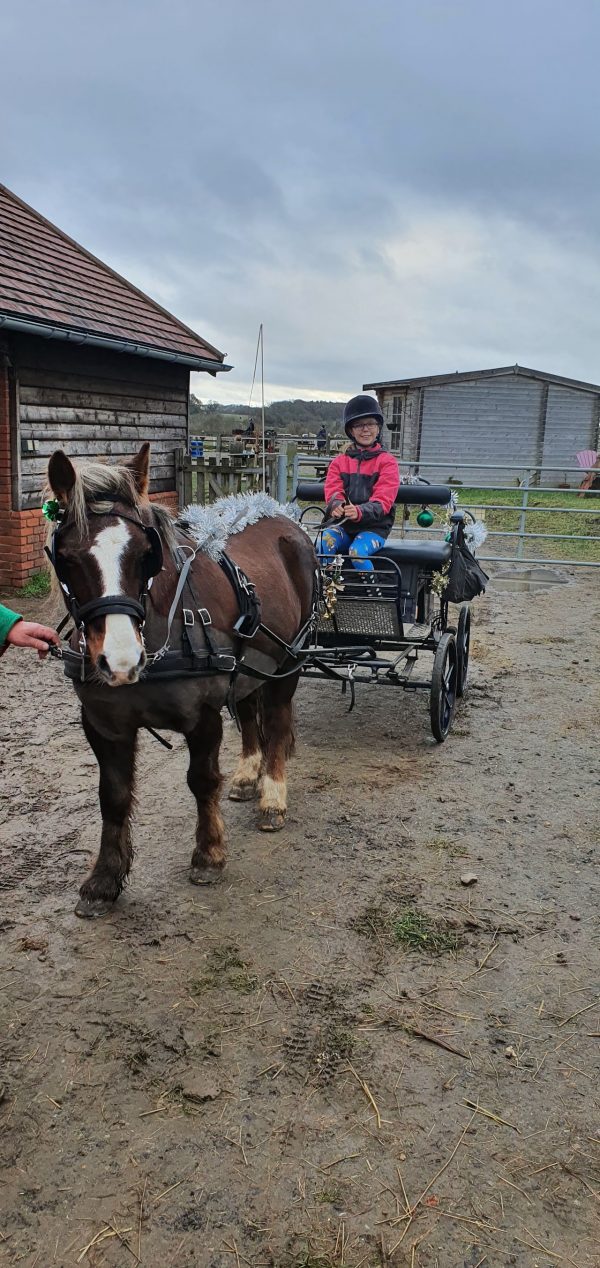 Brook Stables Riding School