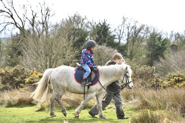 Bryngwyn Riding Centre