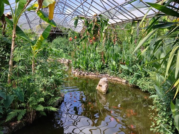 Buckfast Butterflies and Otter Sanctuary