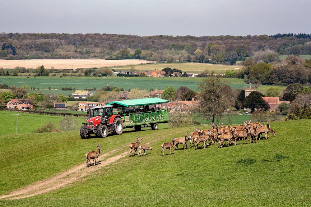 Bucklebury Farm Park
