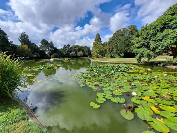 Burnby Hall Gardens