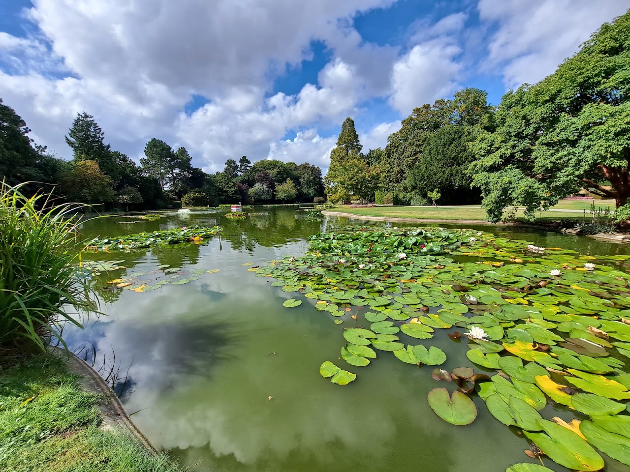 Burnby Hall Gardens