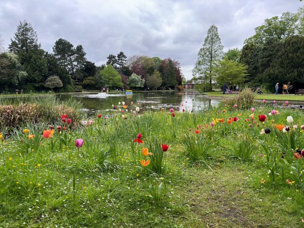 Burnby Hall Gardens