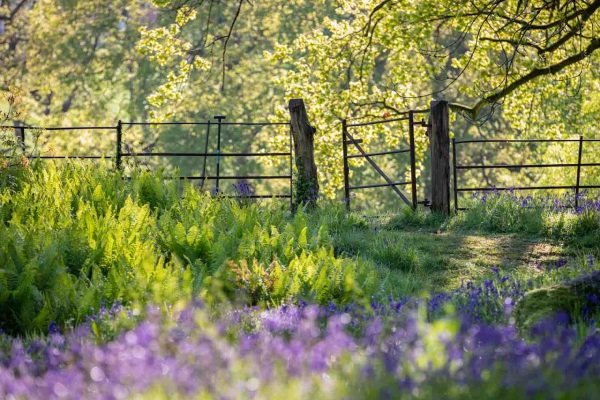 Burrow Farm Gardens