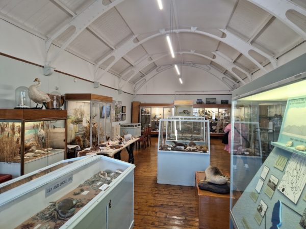 Bute Museum