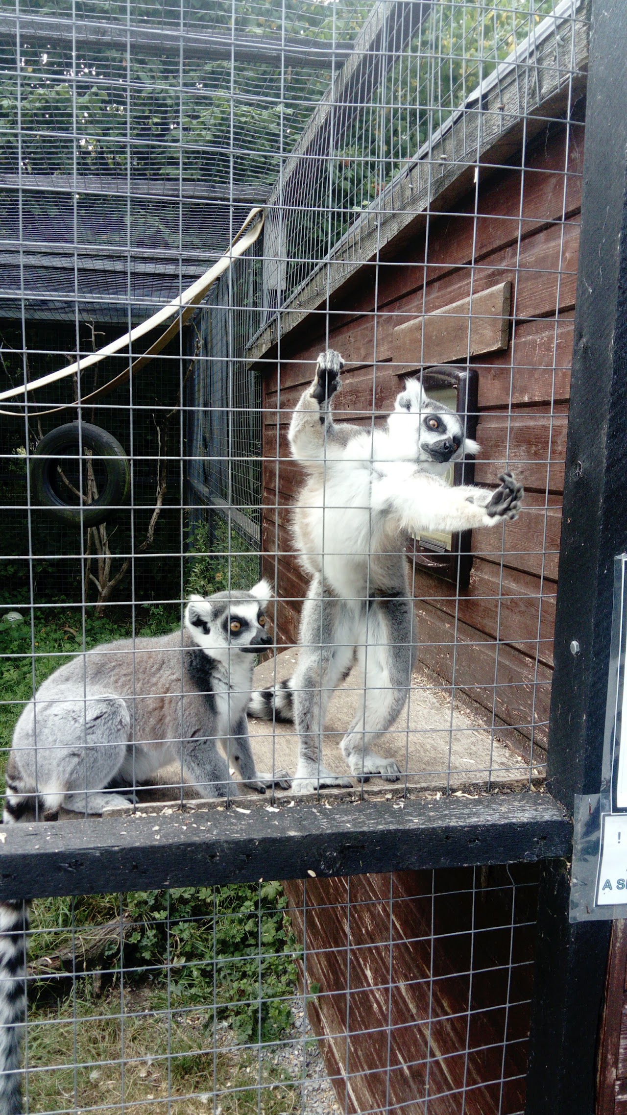 C&J's Animal Park