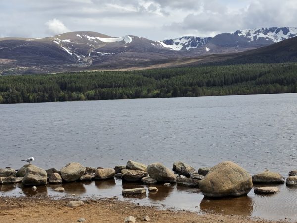 Cairngorm Mountain Resort