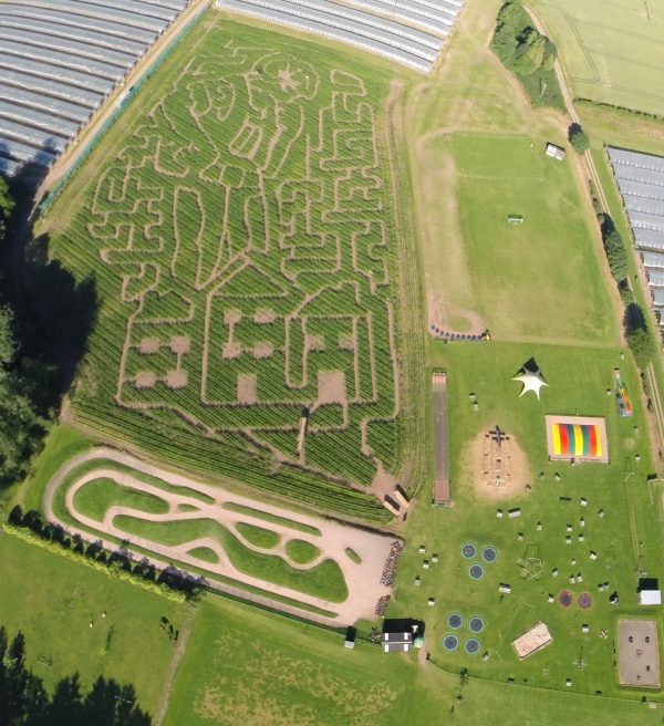 Cairnie Fruit Farm Pumpkin Patch
