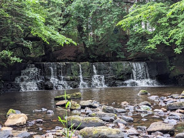 Calderglen Country Park