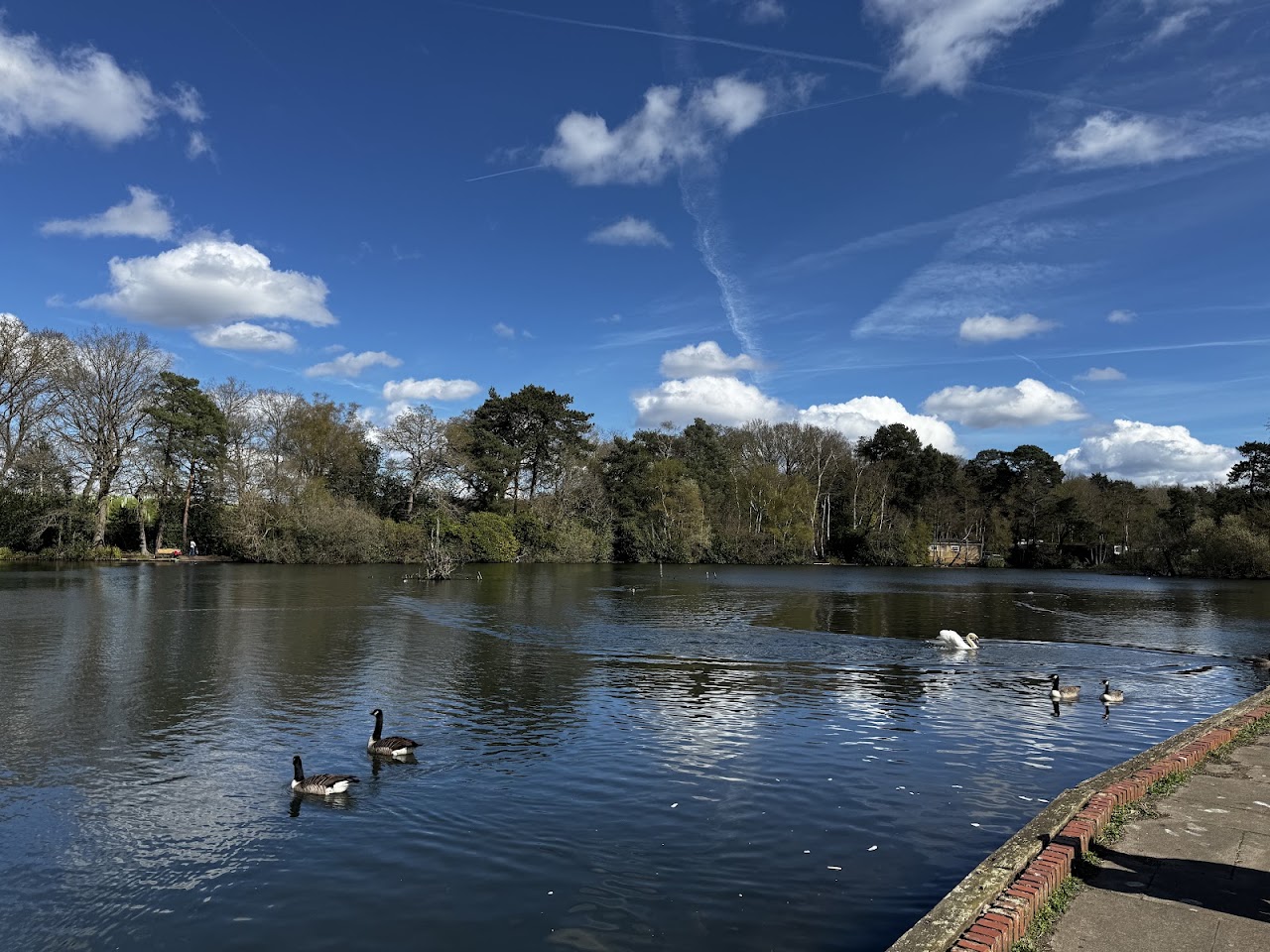 California Country Park Finchampstead