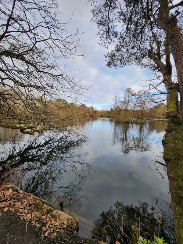 California Country Park Finchampstead