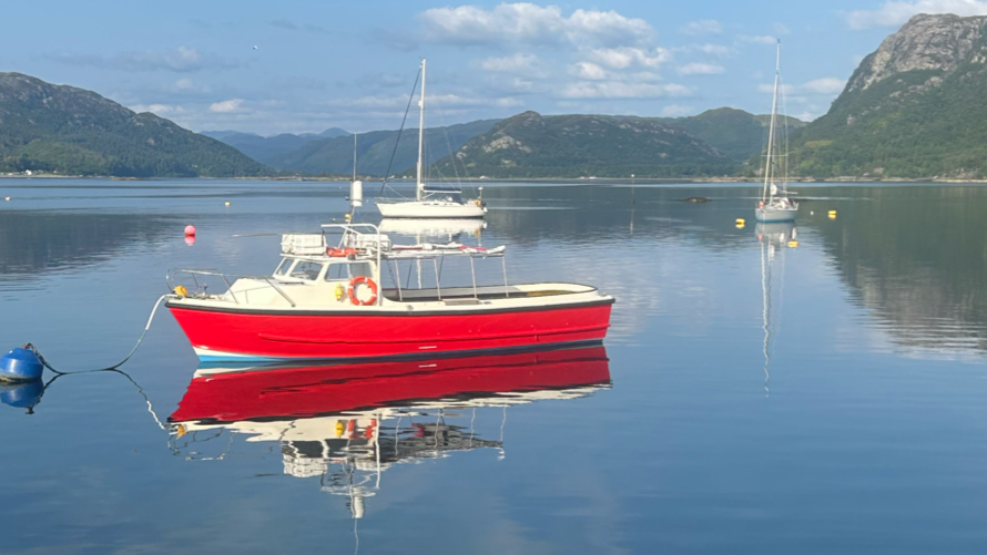Calums Plockton Seal Trips