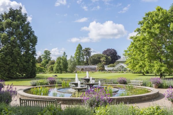 Cambridge University Botanic Garden