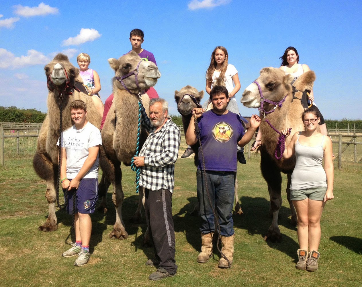 Camel Park Oasis