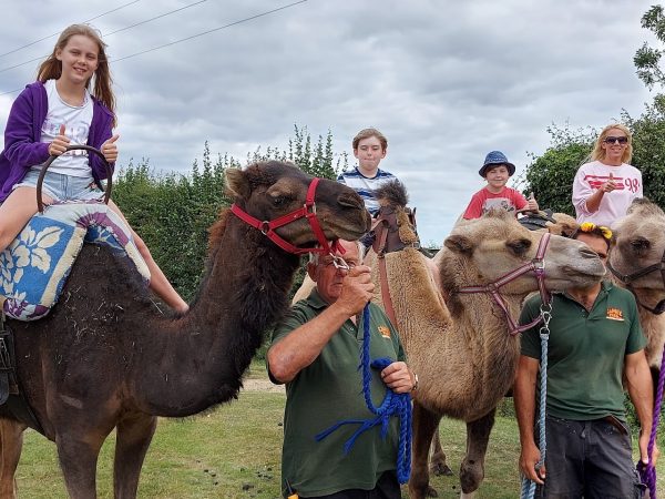 Camel Park Oasis
