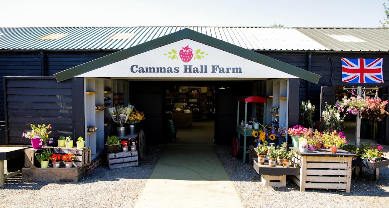 Cammas Hall Farm