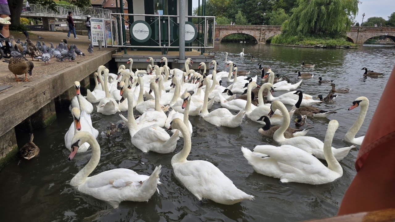 Canal and River Tours