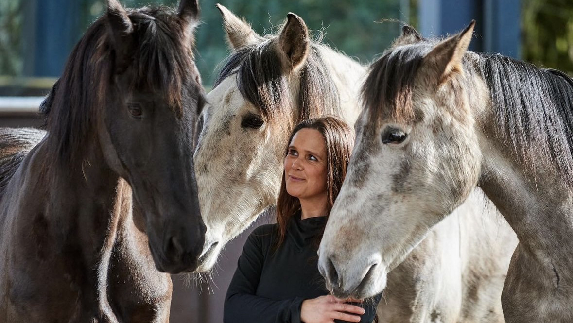 Cannock Chase Horse Trekking