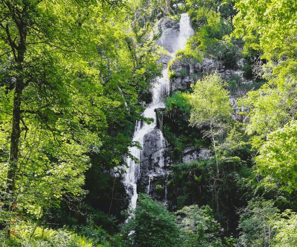 Canonteign Falls